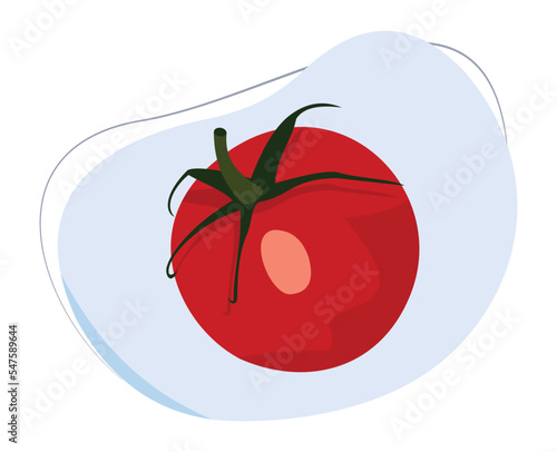 tomato cartoon vector for kids education about types of fruits and vegetables isolated on white background