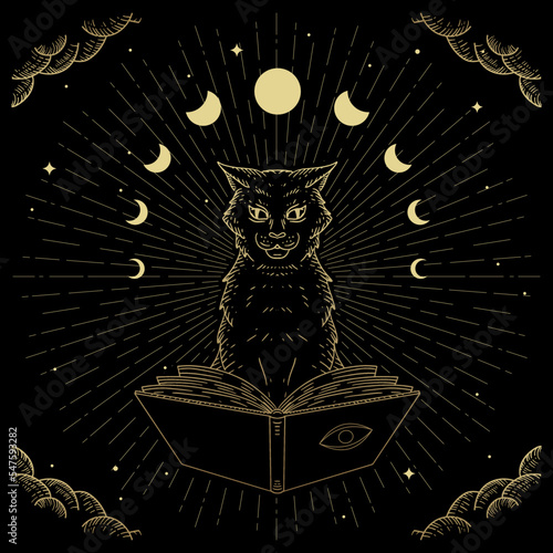 Hand drawn Magical and mystical black cat