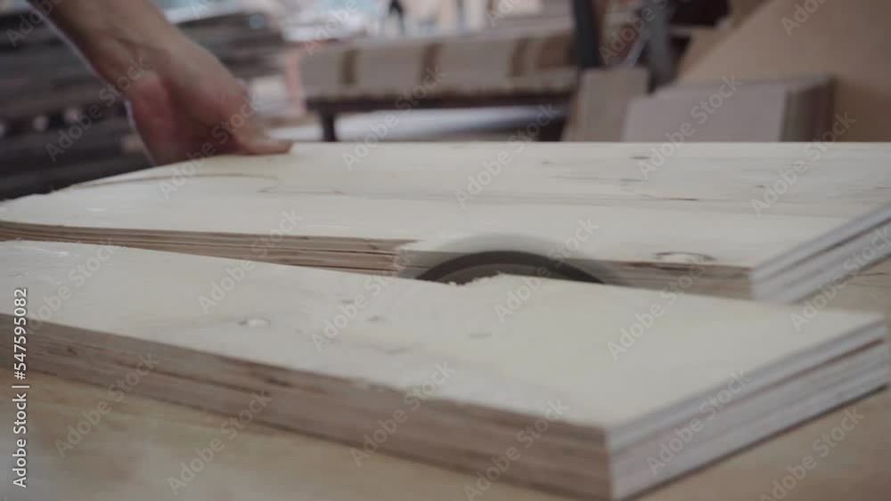 Factory worker cuts a tree with a circular saw. Sawdust of plywood is flying