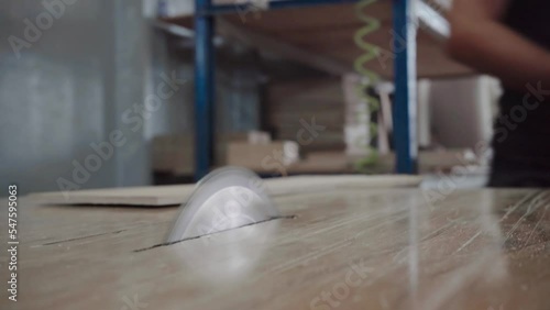 Factory worker cuts a tree with a circular saw. Sawdust of plywood is flying