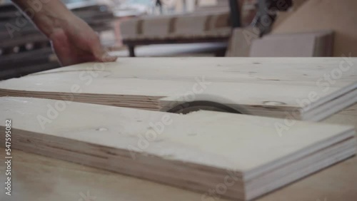 Factory worker cuts a tree with a circular saw. Sawdust of plywood is flying