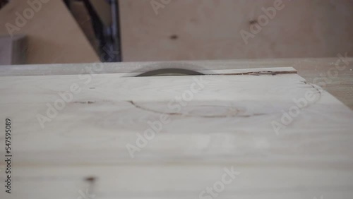 Factory worker cuts a tree with a circular saw. Sawdust of plywood is flying