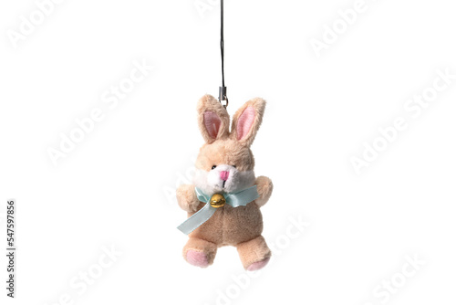 Bunny rabbit toy isolated on white background