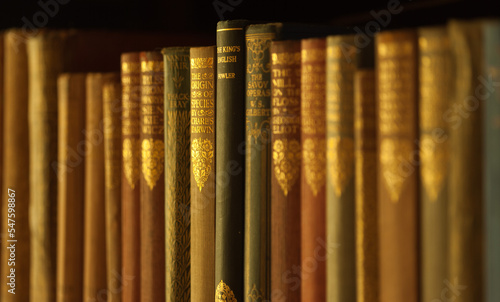 A row of antique books on a bookshelf seen obliquely with shallow depth-of-focus and warm-toned lighting