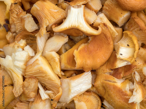 chopped chanterelle mushrooms close up