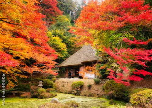 秋の吉水園(秋の一般公開)