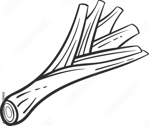 Sketch vegetable leek icon vector illustration. Black line contour sketch vegetable icon on white background for restaurant menu vintage design