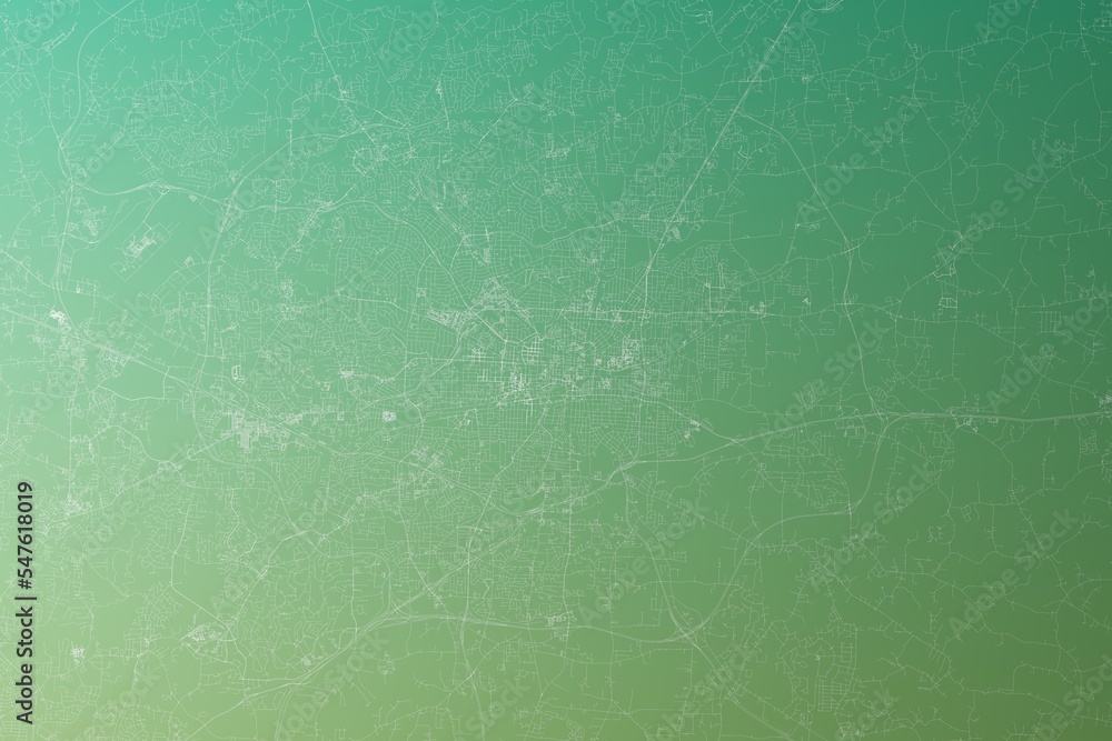 Map of the streets of Greensboro (North Carolina, USA) made with white