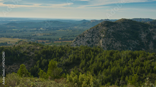 Landschaft in den Alpilles in Südfrankreich