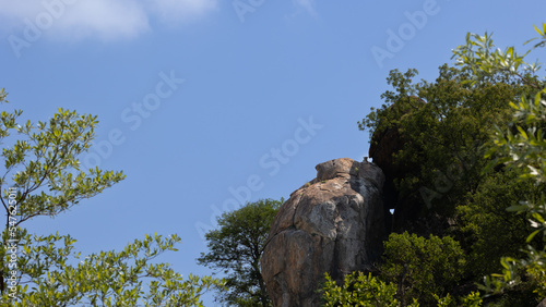 a leopard on a huge boulder photo