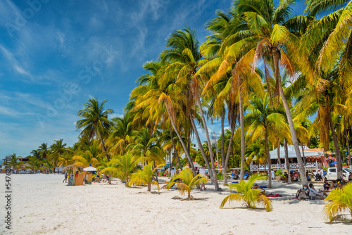 People are sunbathing in the shadow of cocos palms on white sand beach, Isla Mujeres island, Caribbean Sea, Cancun, Yucatan, Mexico