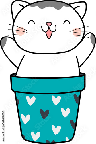 Kitty cat flower cute pot flower pot kitten  pet cute cat adorable