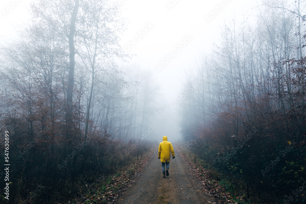 Person walks through the foggy forest