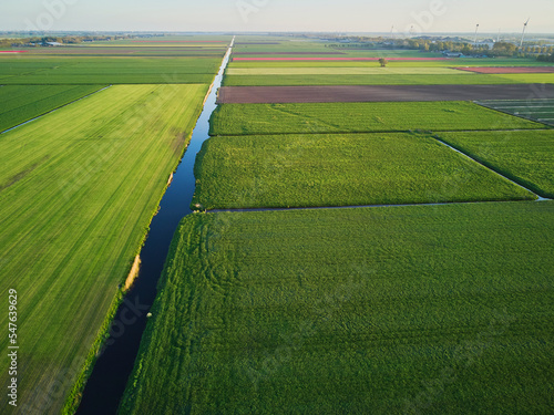Fototapeta Aerial drone view of typical Dutch fields and polders