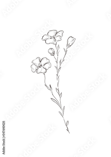 Watercolor illustration of flax flower