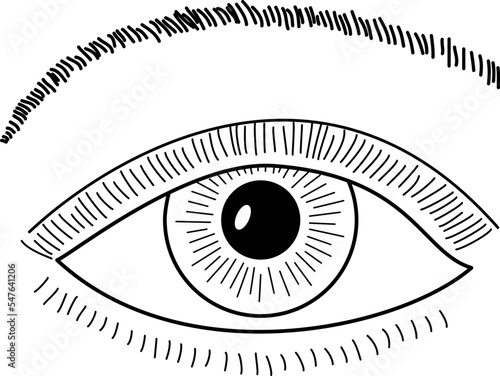 眼
