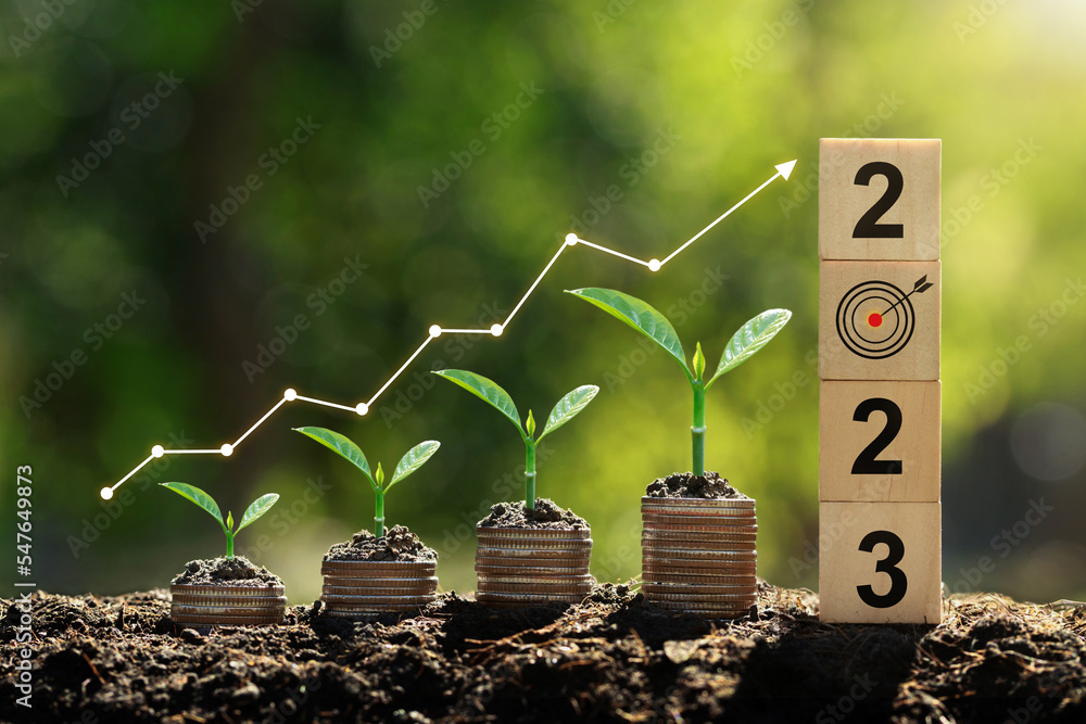 Seedlings are growing on the Coins stack with cubes with text 2023 .business growth, profit, and succeed Development to achieve the 2023 target.Strategic planning coupled with environmental protection - obrazy, fototapety, plakaty 