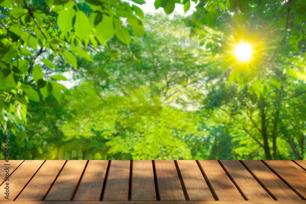 wooden table with park bokeh background wooden table with park bokeh background