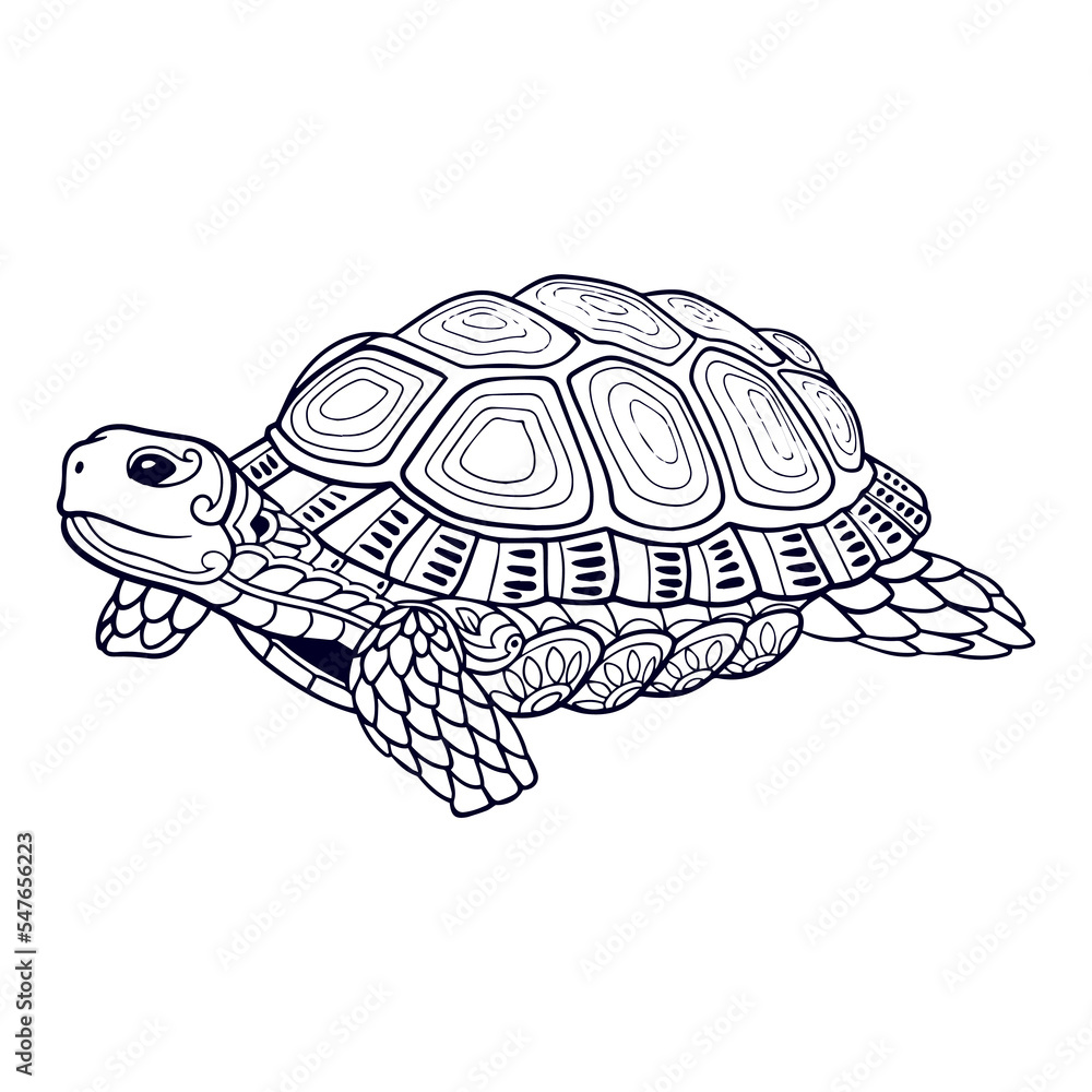 Fototapeta premium Beautiful Turtle Mandala arts. isolated on white background.