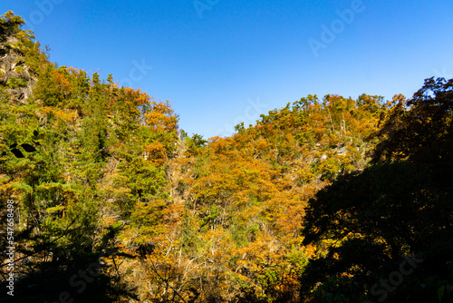 昇仙峡の山肌 秋色に染まる
