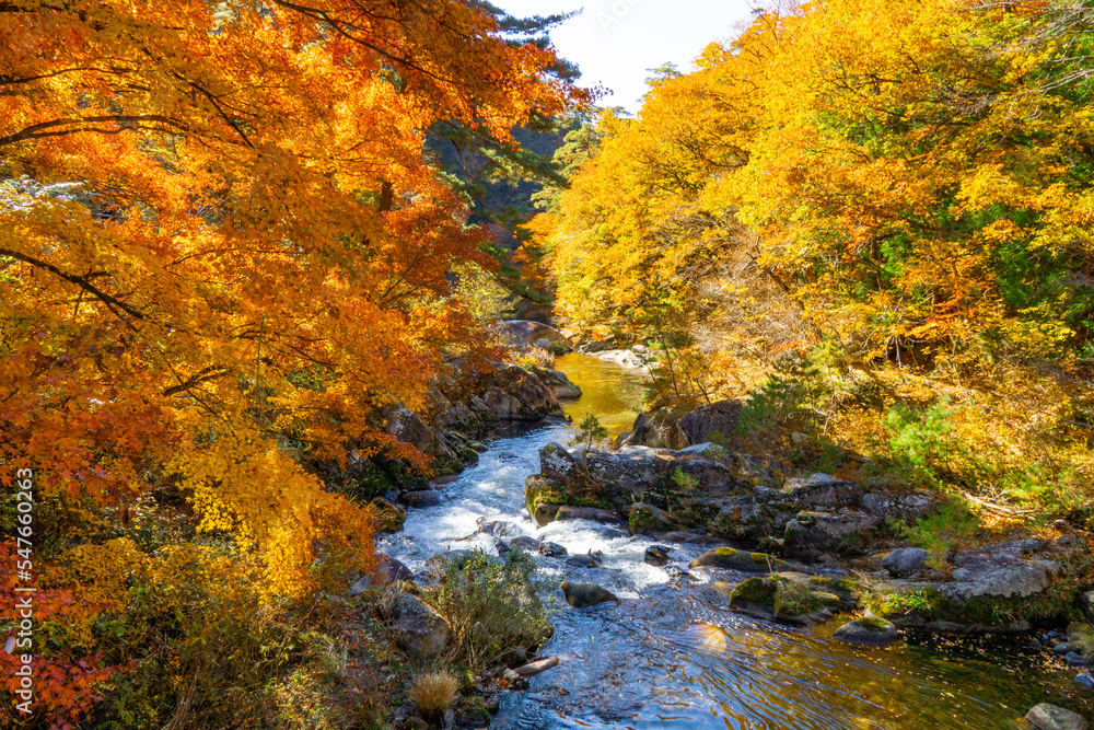 山梨県　紅葉の御嶽昇仙峡