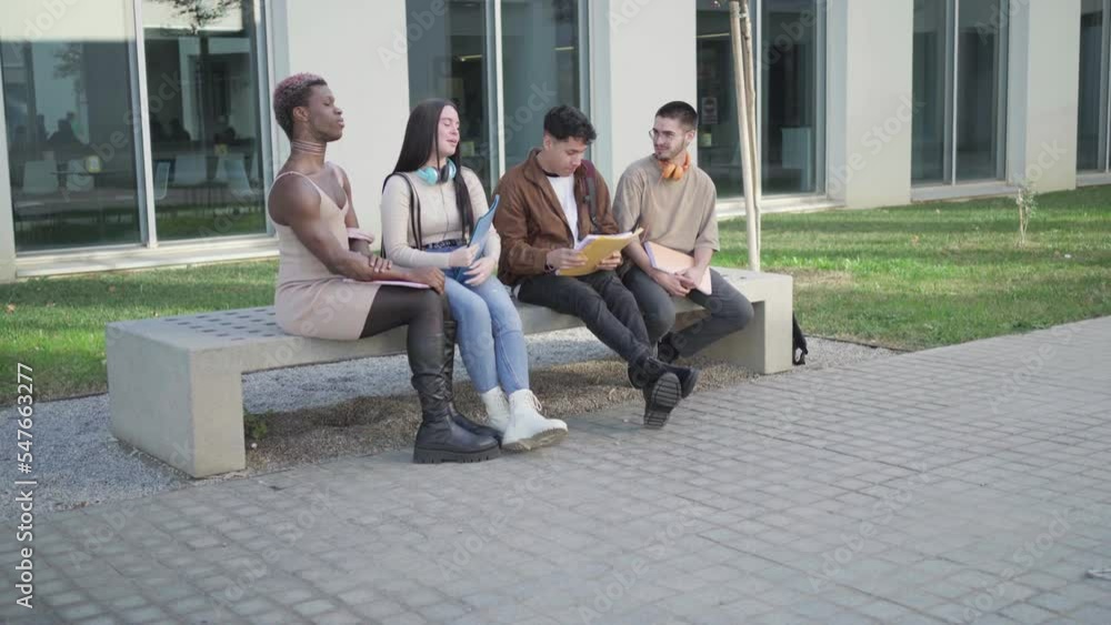a group of college students talk on the campus of the university during a break. a group of college students talk on the campus of the university during a break.