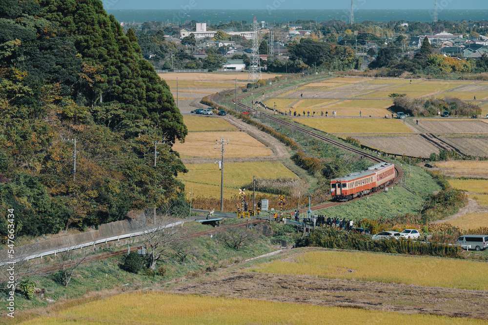 日本の原風景を走るキハ28とキハ58