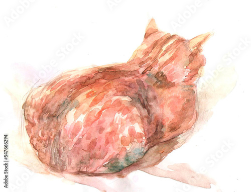 watercolor drawing of a ginger cat sitting backwards with its paws under it
