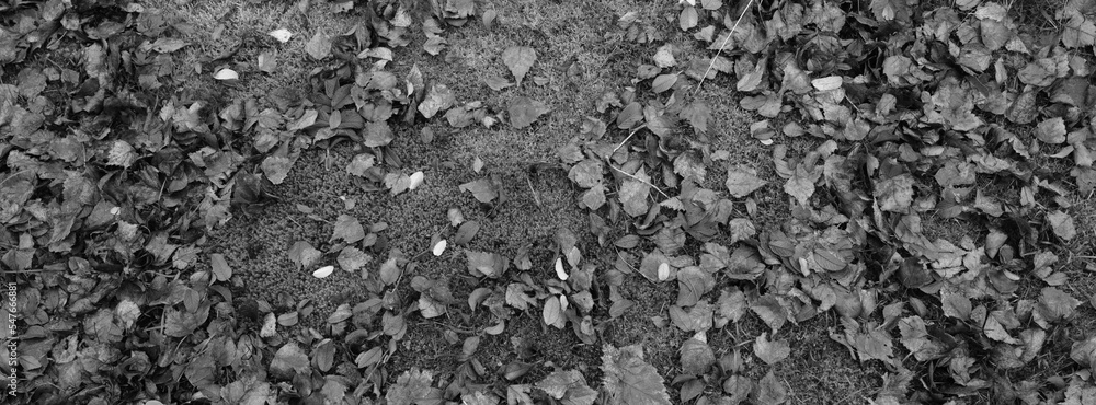 dark moody countryside scene in monochrome dark moody countryside scene in monochrome