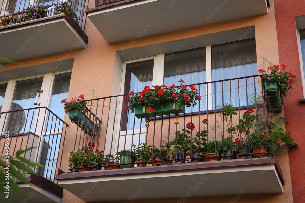 Balcony decorated with beautiful blooming potted plants, low angle view