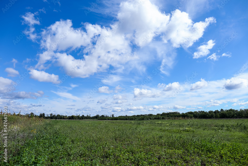 Beautiful view on blue sky with white clouds above green field