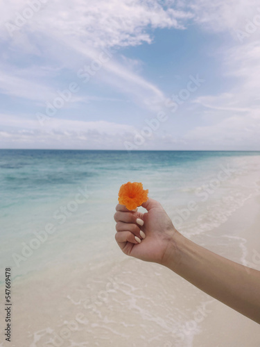 Hand of an unrecognizable woman holding an orange flower against the ocean