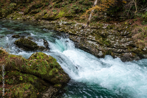 Scenic wild river flowing through the Vintgar gorge in Slovenia