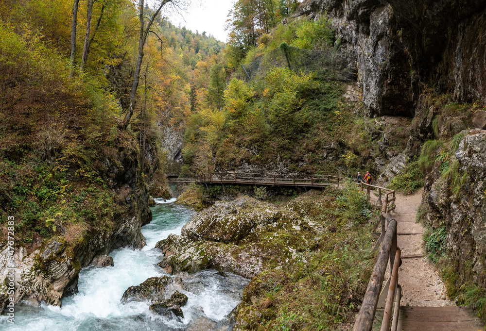 Scenic wild river flowing through the Vintgar gorge in Slovenia Scenic wild river flowing through the Vintgar gorge in Slovenia