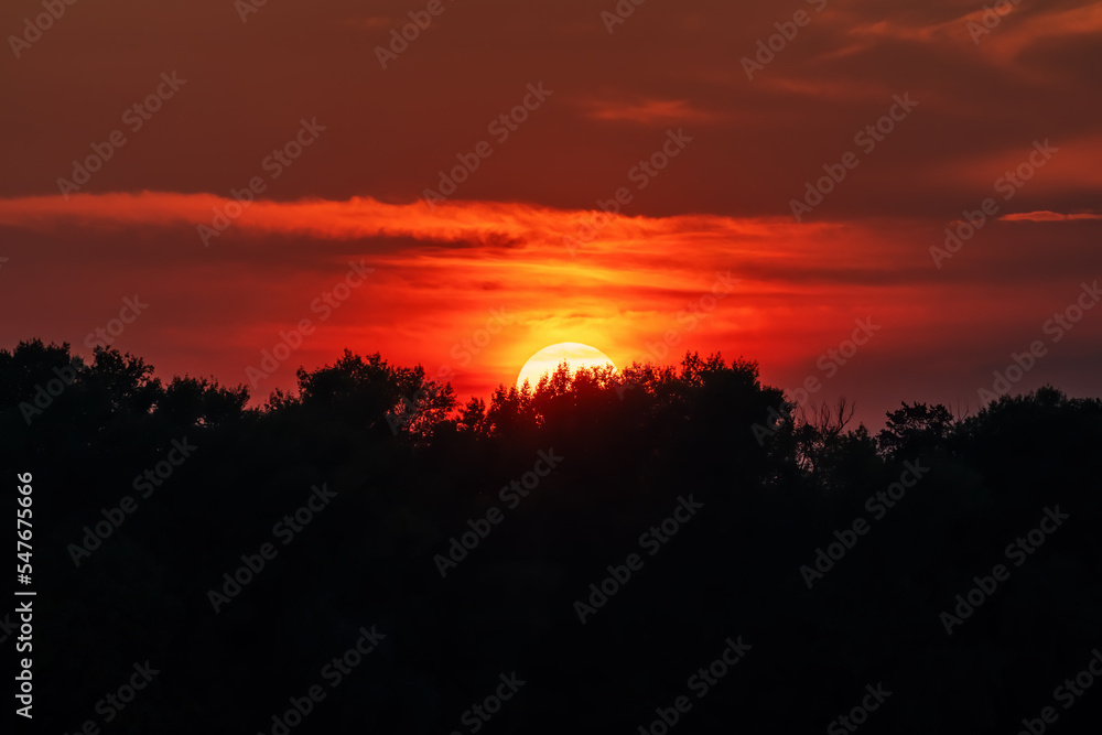 The Sun hides behind the trees on the horizon during sunset. Shot with a telephoto lens