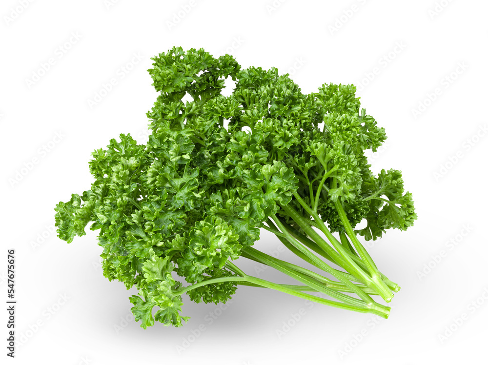 Parsley isolated on transparent png Parsley isolated on transparent png