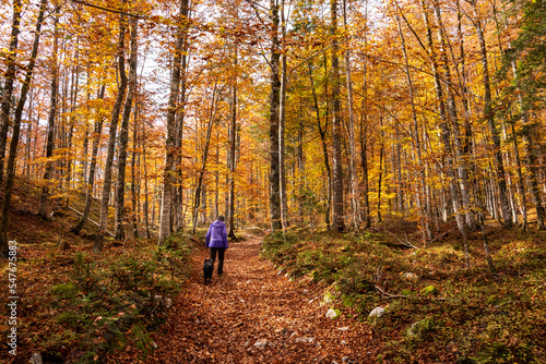 Hiking through the Vrata valley in autumn, Triglav National Park in Slovenia
