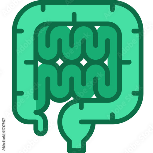 intestine two tone icon
