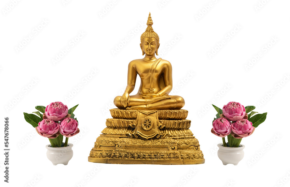 Fototapeta premium Pink lotus and golden buddha on transparent background.