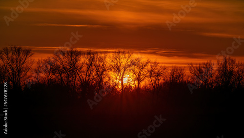 The light of the sun passes through the branches of trees without leaves on the horizon during sunset