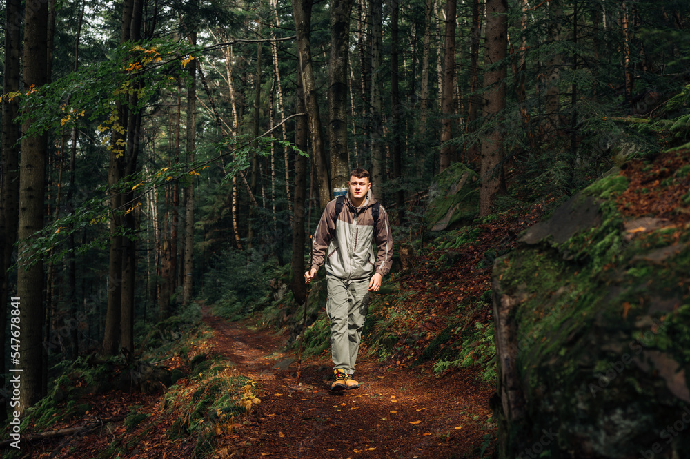 A male tourist in casual clothes walks with a stick in his hand along a forest path climbing the mountains with a serious face. Tourism concept.