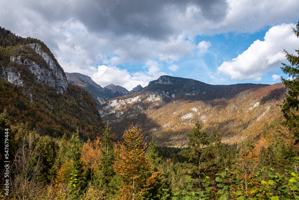 A wooded valley in the Triglav National Park in Slovenia A wooded valley in the Triglav National Park in Slovenia
