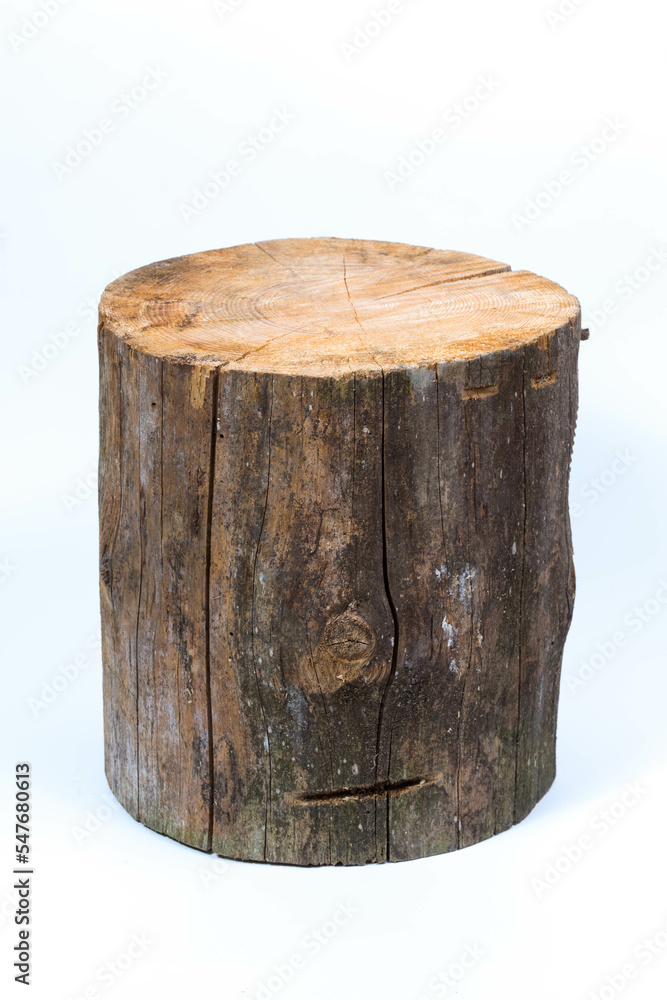 log stump isolated on a white background log stump isolated on a white background