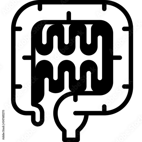 intestine solid line icon