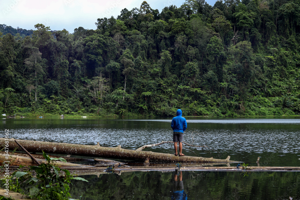 Fototapeta premium asian man with black hair in blue jacket standing on a fallen tree overlooking green tropical forest