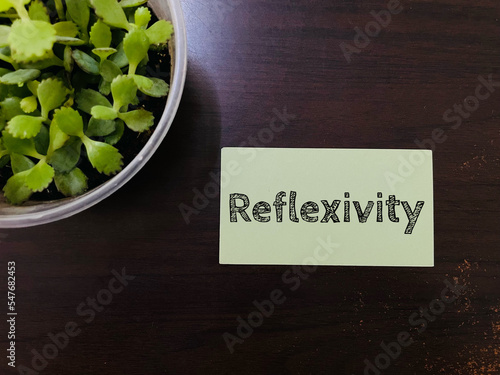reflexivity  photo