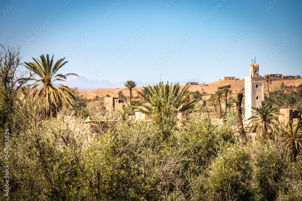 kasbah amridil, skoura, morocco, route of the 1000 kasbahs, north africa, palm trees