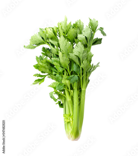 Fresh celery isolated on transparent png