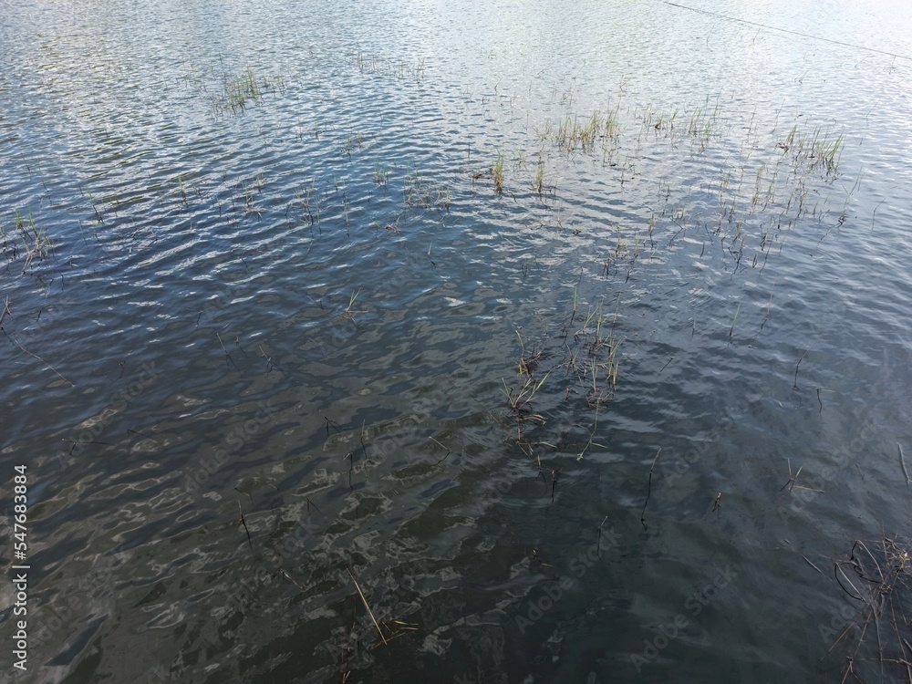 view of the water surface in the lake view of the water surface in the lake