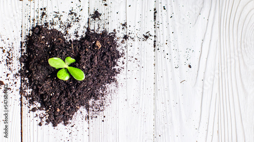Soil shaped into heart symbol on white wooden background. ecology concept. Earth day concept. nurturing baby plant
